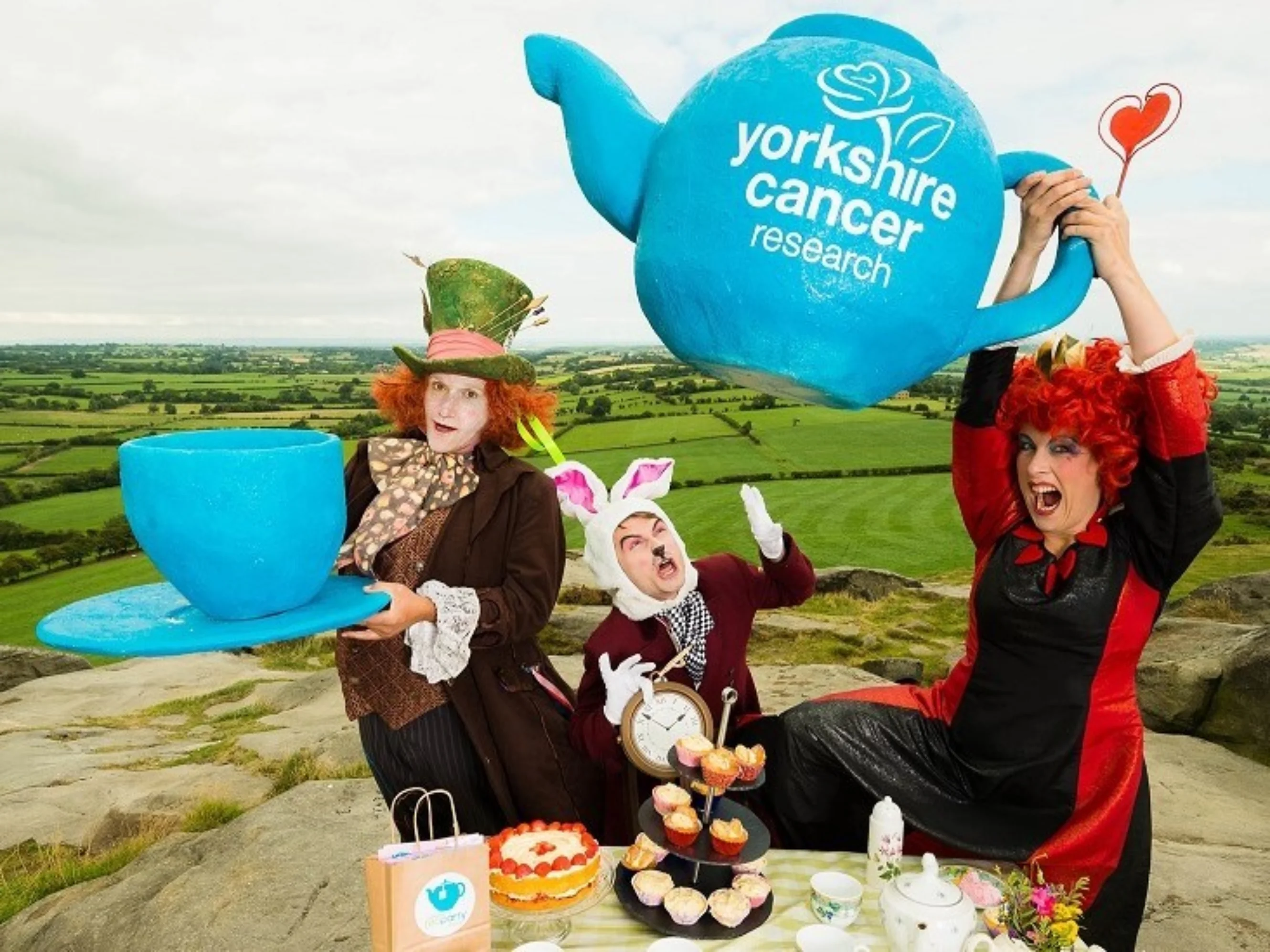 An archive photo from 2013 of people dressed as Alice in Wonderland characters posing outdoors at a Yorkshire Cancer Research tea-party.