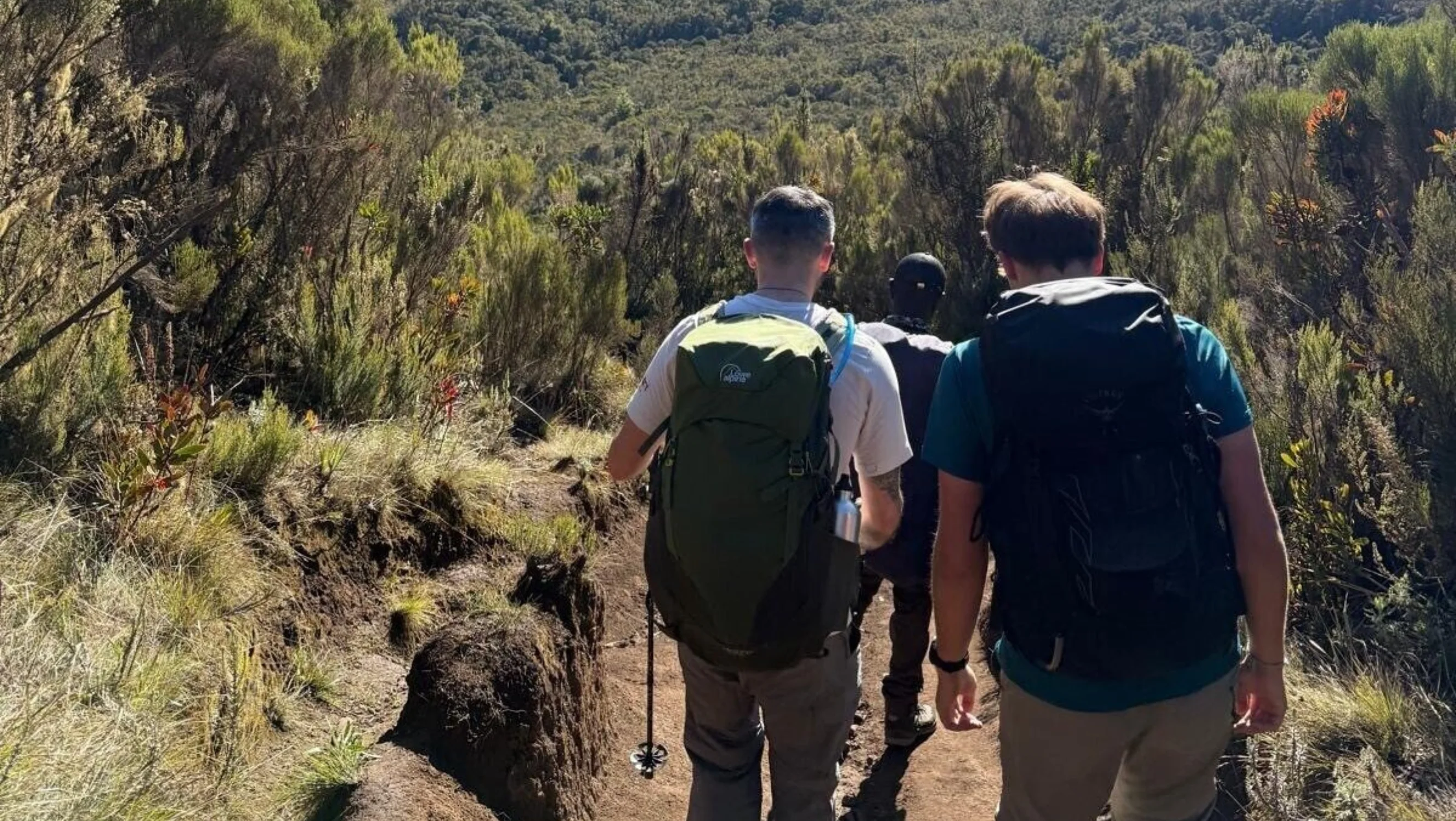 Three people wearing hiking gear descending a mountain. The sun is shining and there is lots of greenery.
