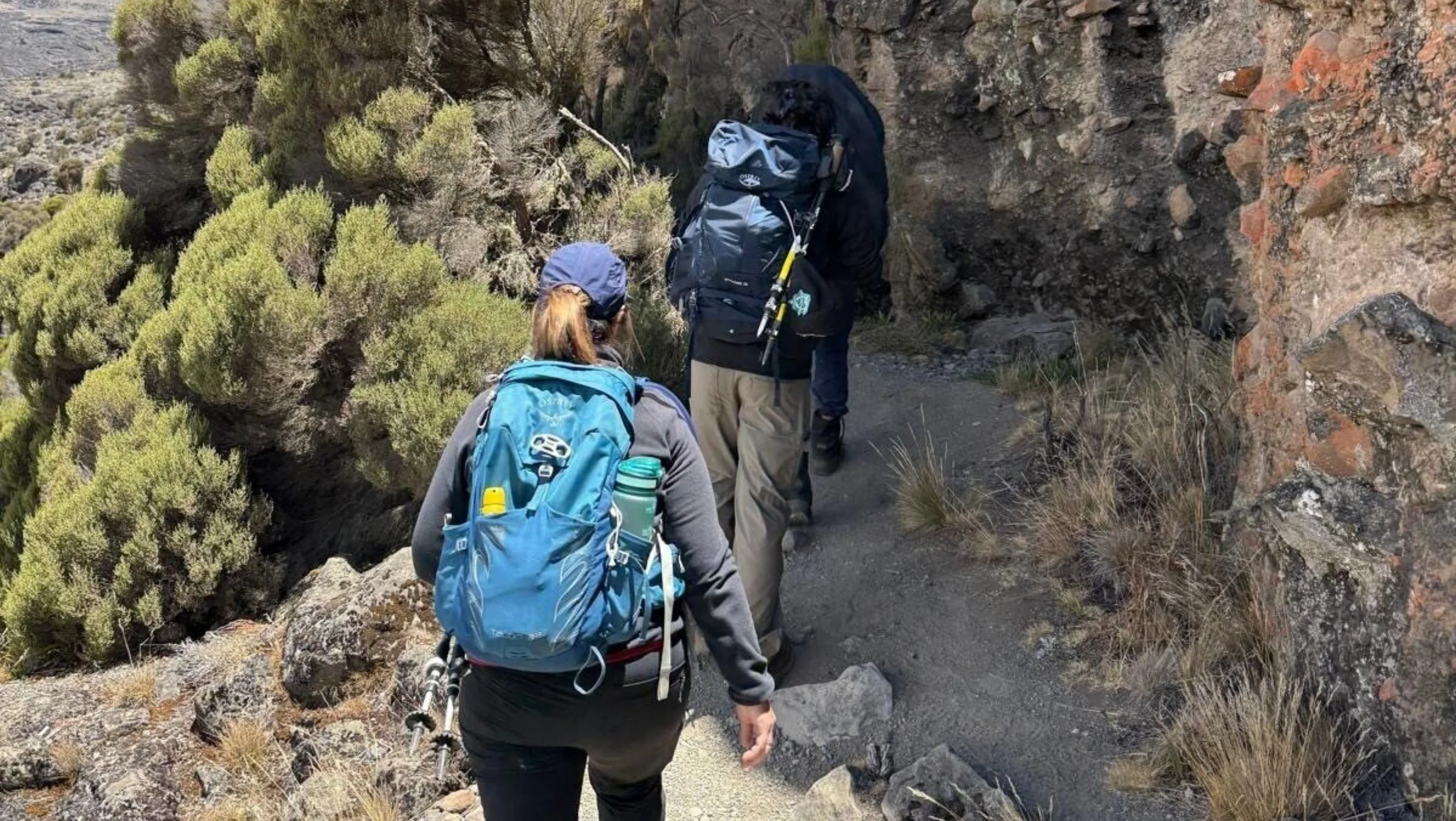 Three people with backpacks wearing hiking gear. In the background you can see a rocky mountain surface and green shrubbery.