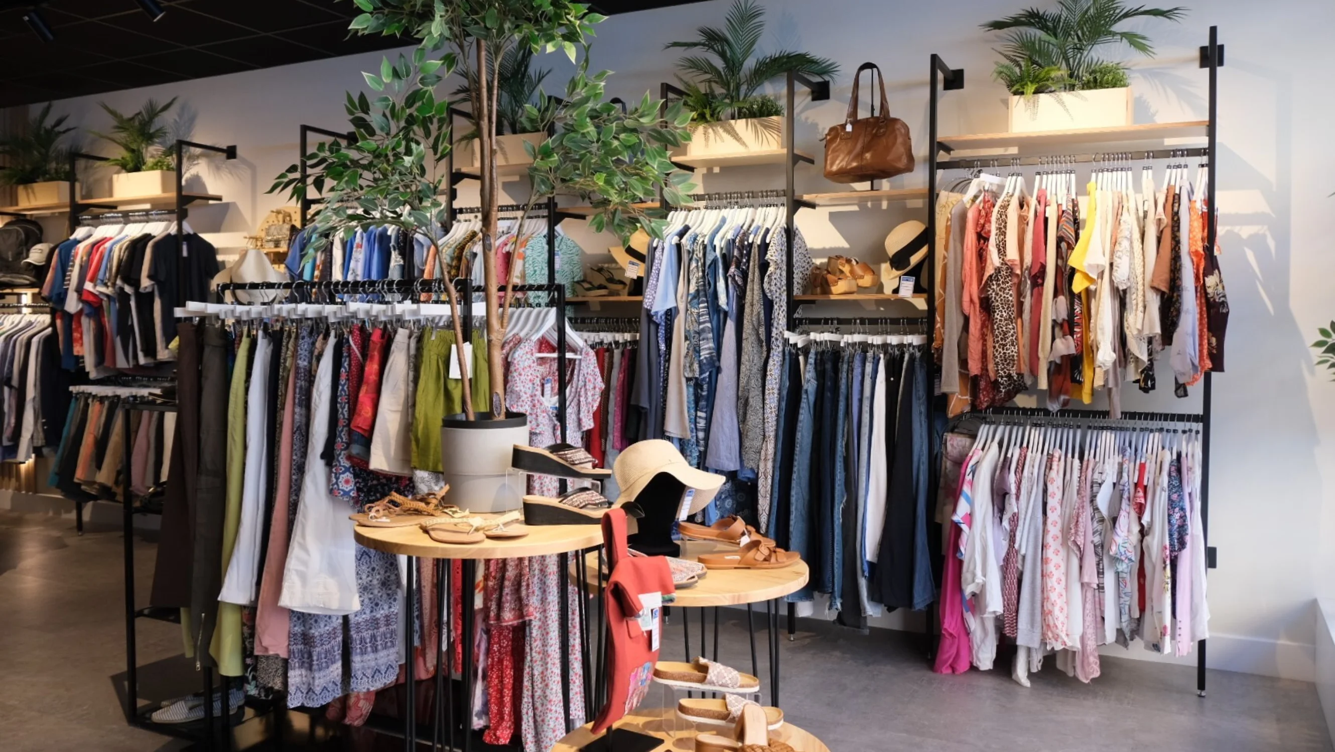 The interior of the shop with a large women's clothing display mounted on the wall alongside green indoor plants and a centre table adorned with ladies hats and shoes.