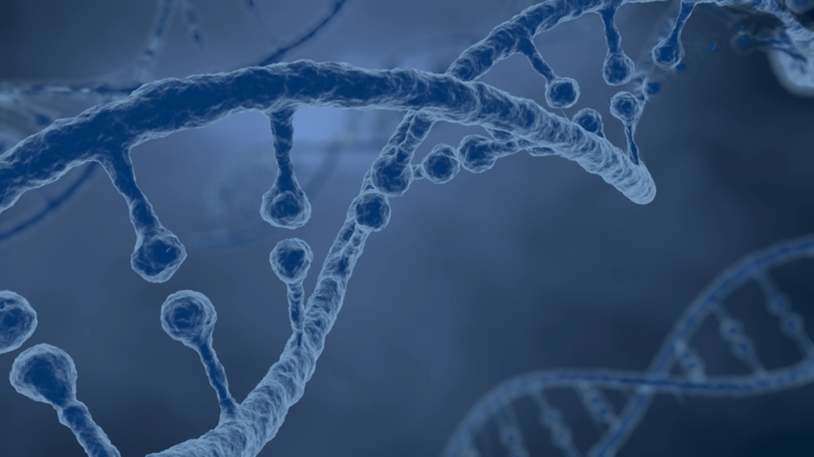 PROTECT-C - genetic screening - Yorkshire Cancer Research
